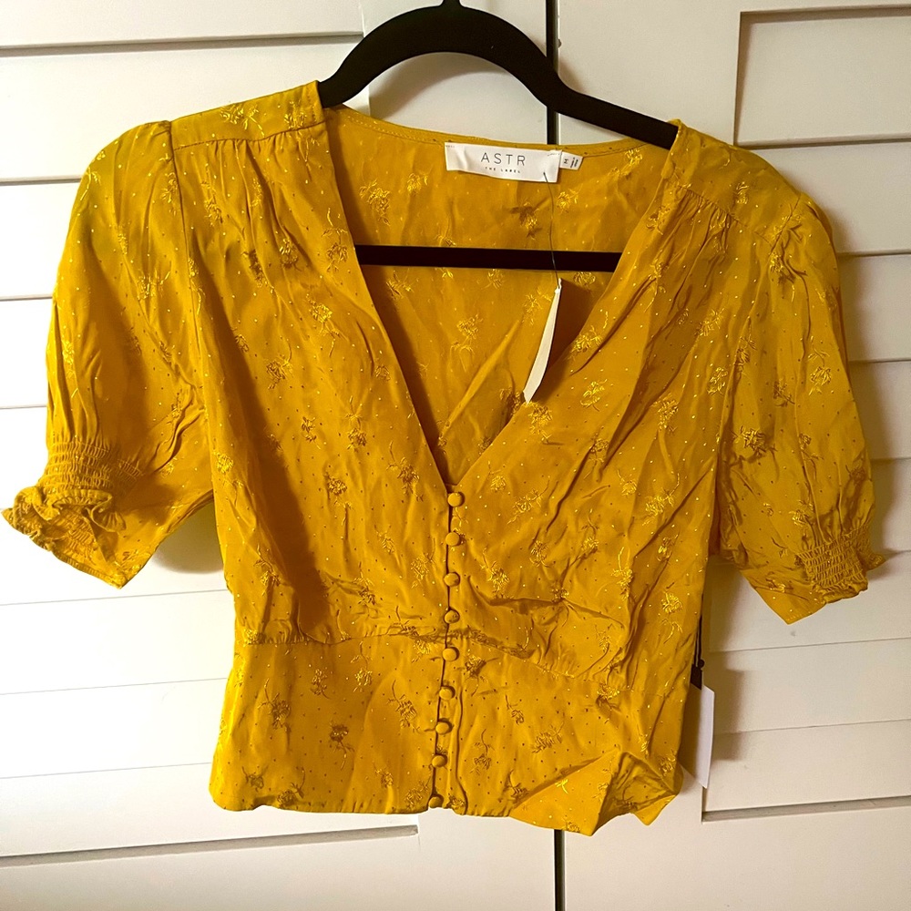ASTR Silky Crop Blouse, New With Tags